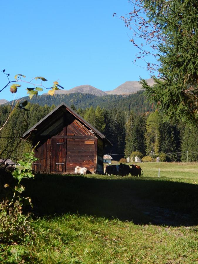 Residence La Pineta Падола Екстер'єр фото
